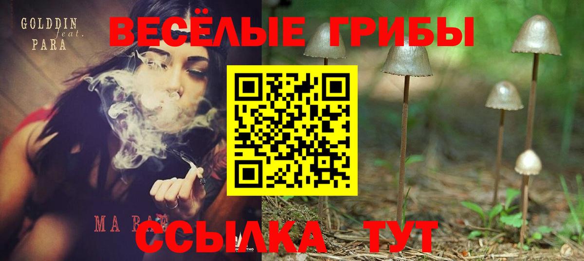 Псилоцибиновые грибы Cubensis  Вход с VPN  Спасск-Дальний  Галлюциногенные грибы прущие грибы 
